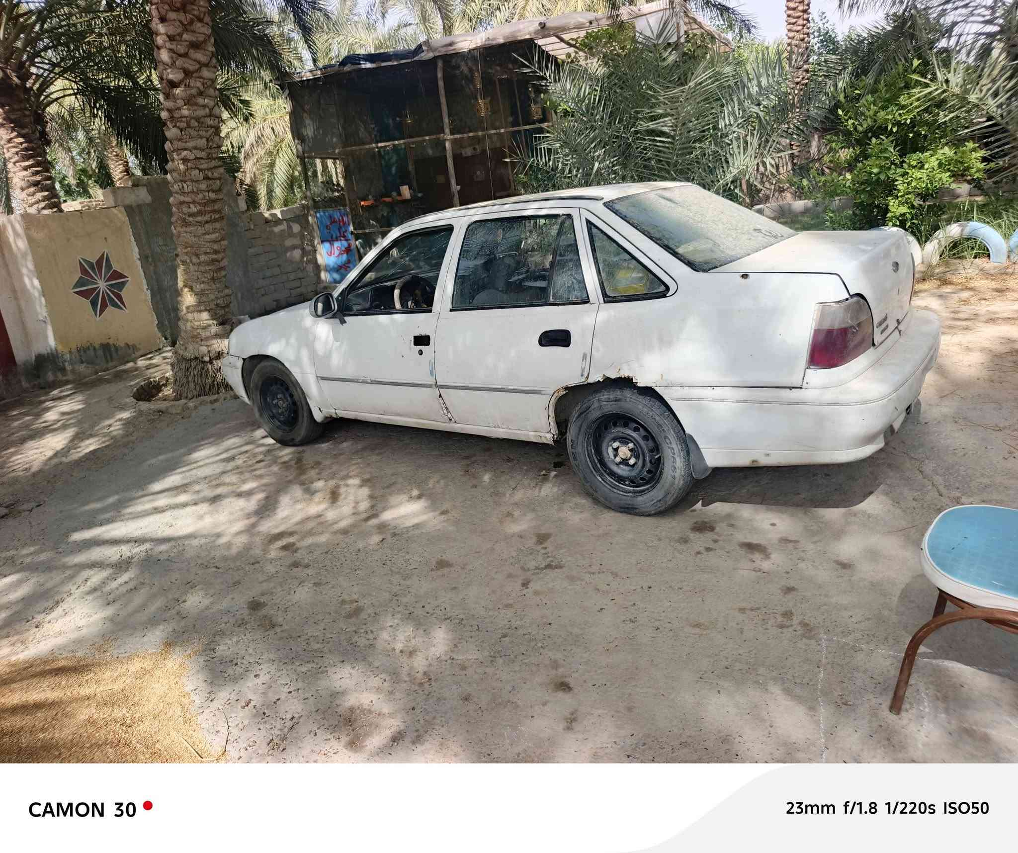 دايو سلو • نجف • ورقات