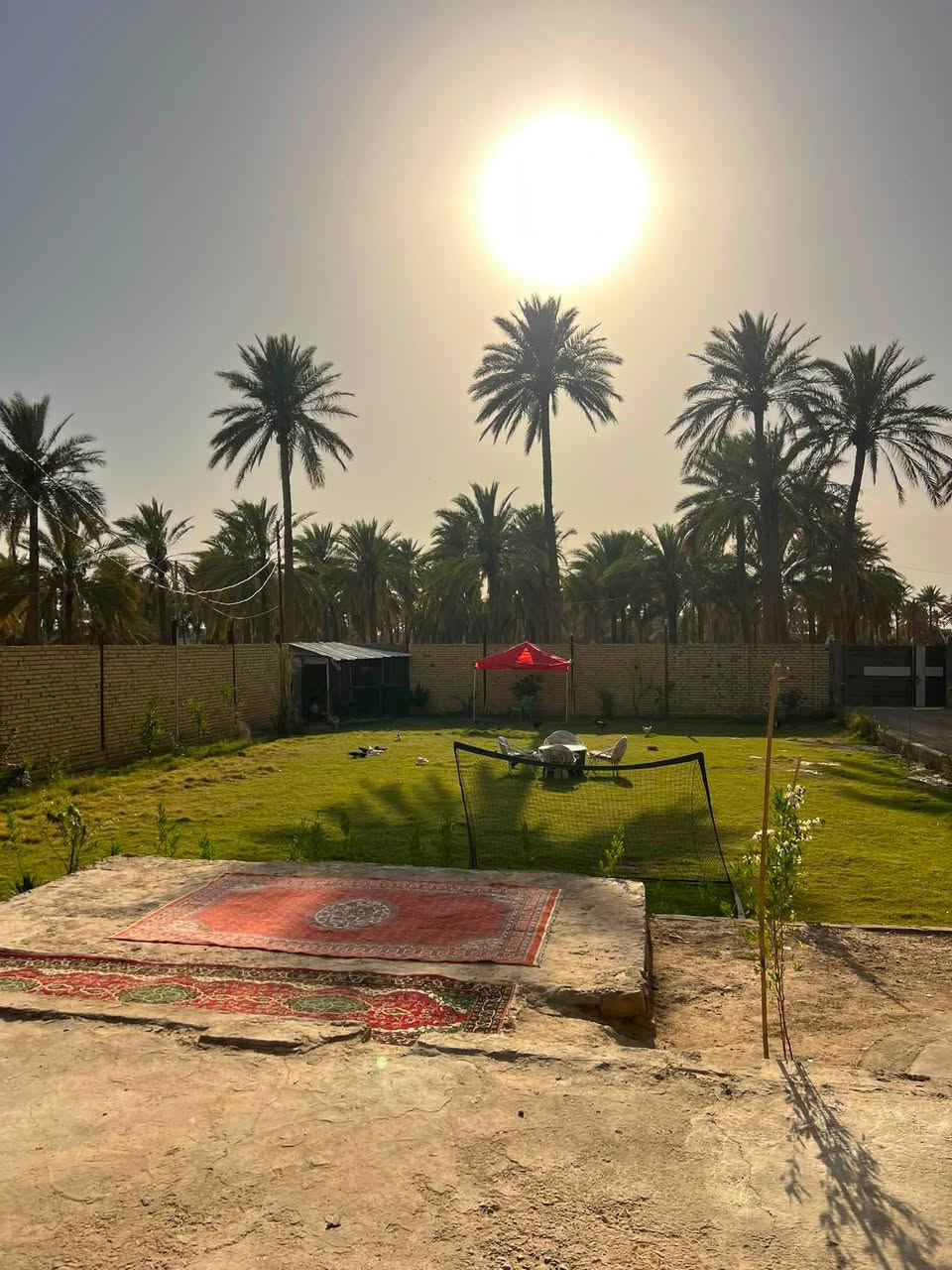 بيت مساحة 1000 متر، طابو صرف زراعي بستان سند 25 بناء حديث جدا تحويل، ثاني يوم. الواجهة 20 متر، والنزال 50 متر. مساحة البناء 220 متر. والباقي حديقه 

تفاصيل البيت:
* 3 غرف نوم بنظام سويت.
* صالة بطول 12 متر.
* مطبخ مفتوح على الصالة.
* نظام حار وبارد.
* مجمع صحيات داخلي متكامل.
* صحيات خارجية.
* مناور خارجية.
* دوارة.

الطابق الثاني:
* غرفة بمساحة 7.5 × 5 متر.
توجد قطعة أرض بجانب البيت يمكن بناء بيت ثانٍ عليها.
الشارع بعرض 12 متر.
مولد ذهبي وطني أمام البيت.

العنوان: المدحتية محيريجة، تبليط الشط الجديد، الشارع الذي يربط بين الشط وعلي قمارة.شارع حي الصحه يبعد عن تبليط الشط 250 م 

موبايل: ***********
