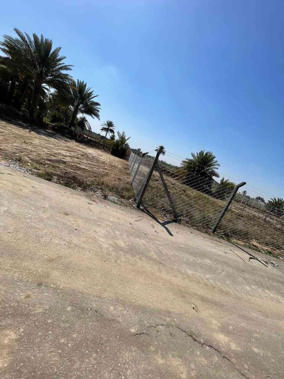 طابو زراعي • ٥٠٠م • كربلاء طريق الإبراهيمية