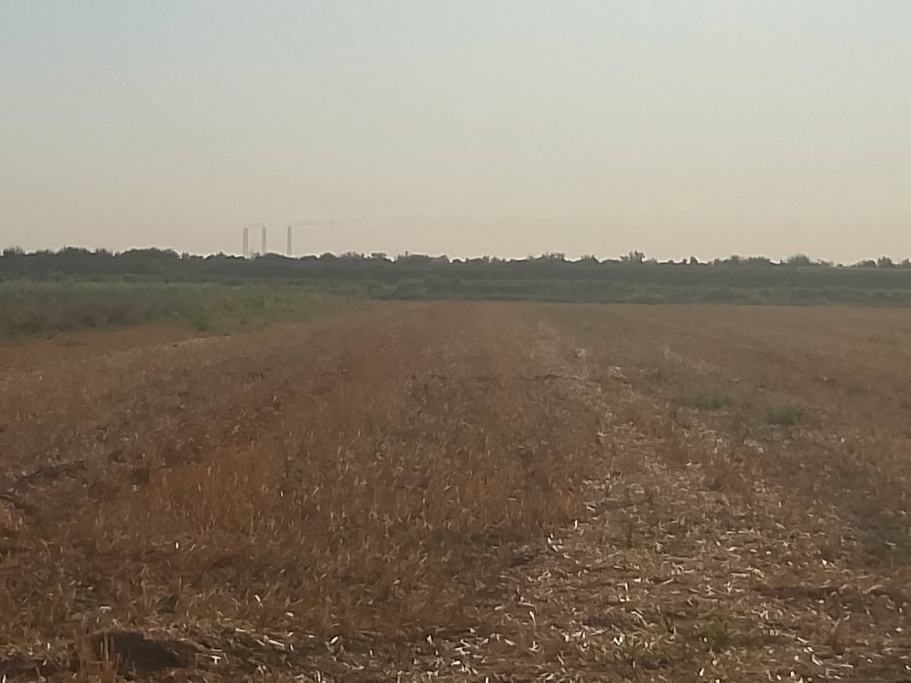 ارض زراعيه للبيع في ق2 نهر بيت دلول سبع دوانم رقم الاستفسار ***********
