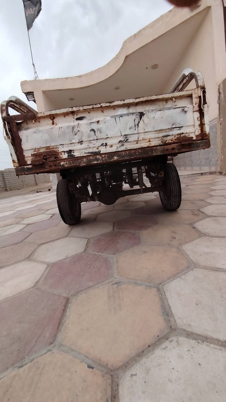 ستوته • موديل 2021 • أوراق مداور