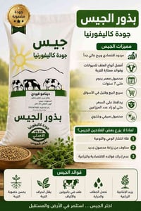 الجت • علف • مردود اقتصادي