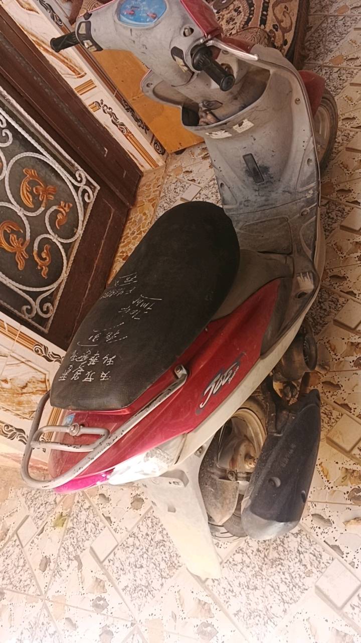 ماكس منغولي • مامفتوحه • الحلة