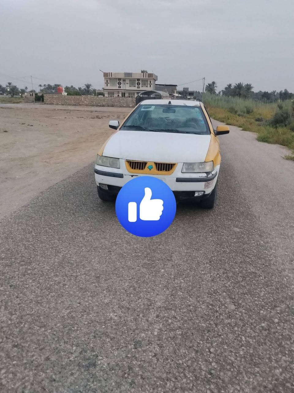 مراوس • للبيع • بابل