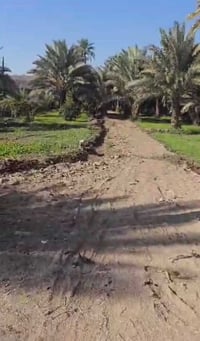 ٣ دوانم • سند ٢٥ • خدمات كاملة