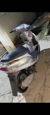 منغولي رمبه • تخبل • شغال