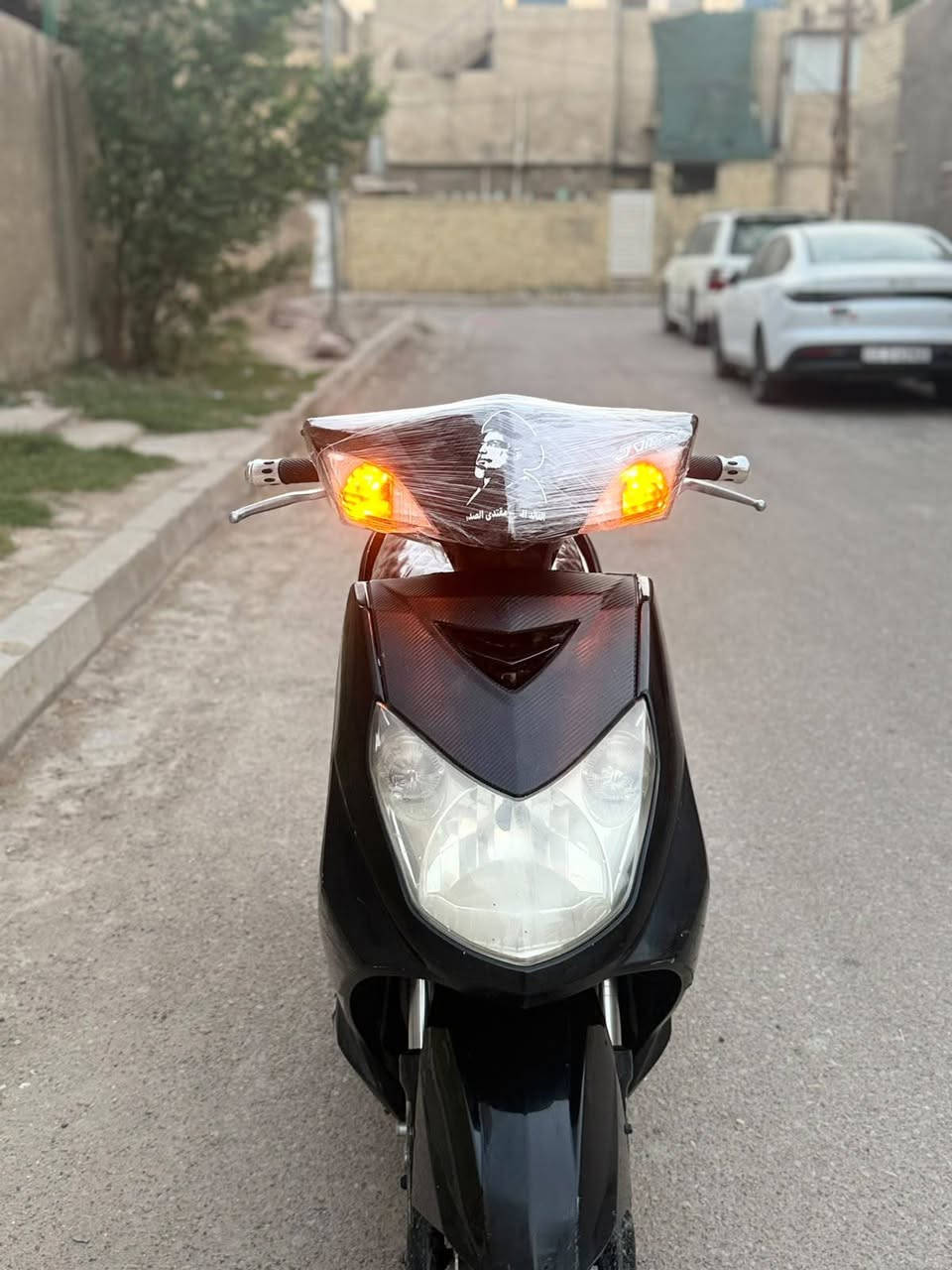 سكنس فحل • ياباني • ما مفتوحه
