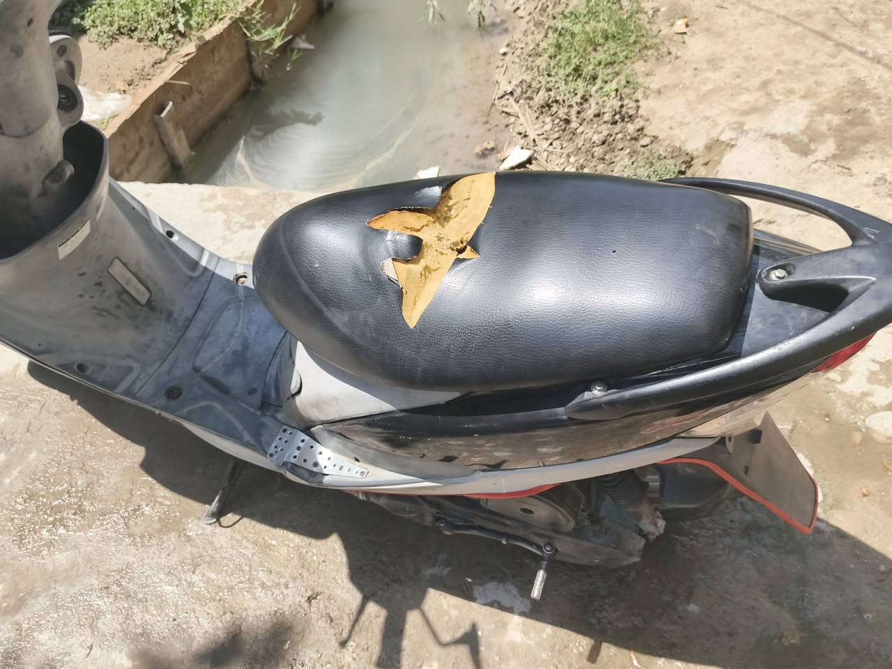 درجه ماكس منغولي لبيع درجه جديدة مال جناي
درجه رنبا صار 3شهر من نزلت كلا نغص ما بيه
سعر400وبيه مجال مكاني ديالئ بعقوبة
***********
