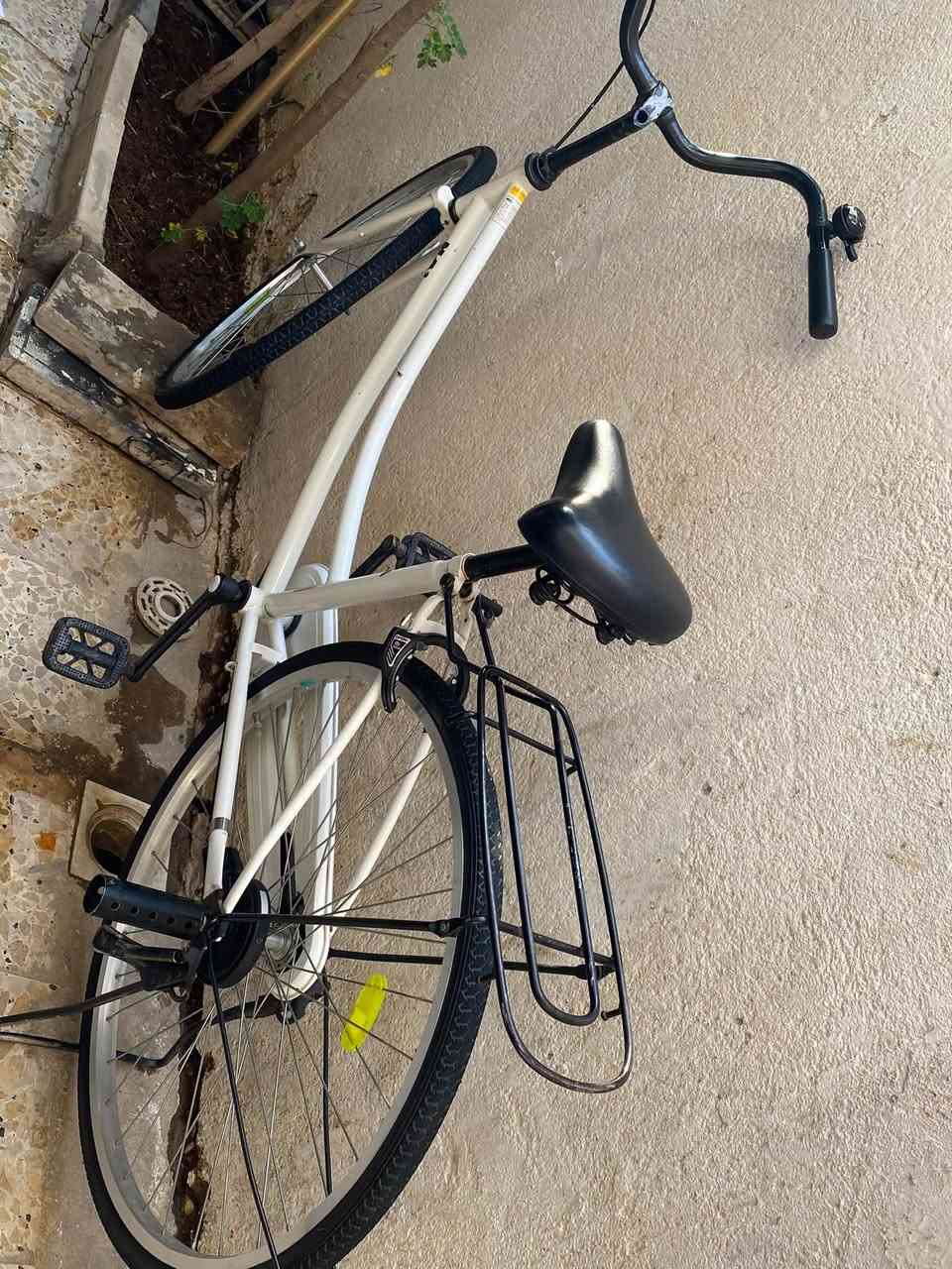 حجم ٢٦ • موديل ١٩ • نضيف
