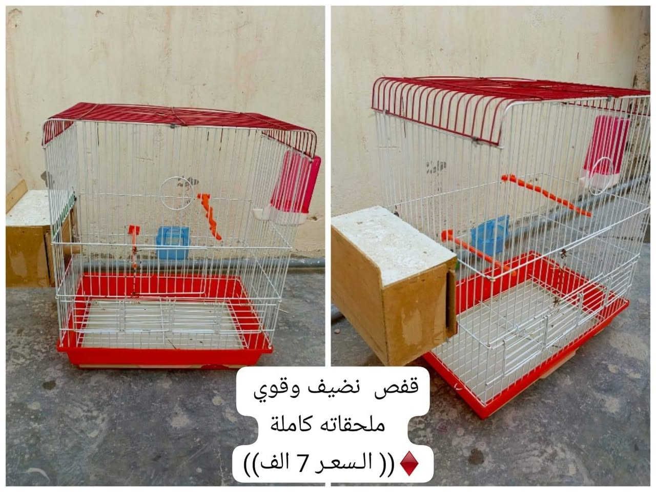 للبيع
الأسعار ثابته 
شراي اتصل إذا مو شراي 
لا تعلق ولا تراسل 
العنوان الرمادي5كيلو
♦((هـ***********))
