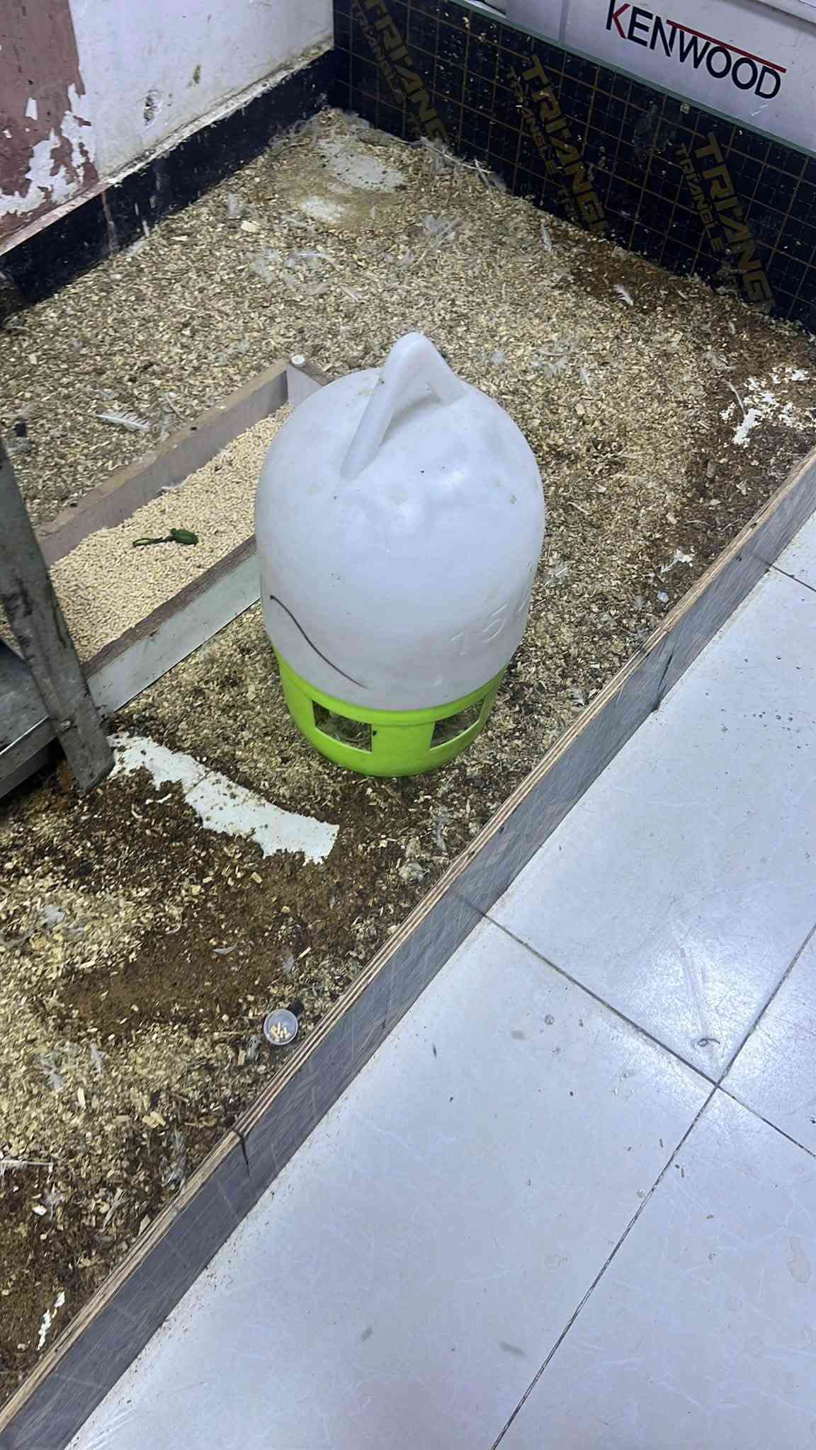 سماطة ٢٥٠ مذبح مال دجاج ابو ٤ كبابيس ٢٥الف مجمدة عارضة حجم كبير ب٣٥٠ الف مسكافات مال سمج عدد ١٥ وحدة كلش مظيفات الوحدة على ٤٥٠٠
قنينة غاز متروسة ٦٥ الف عراقية ومضمونة 
بكرة مال سلفون وقاعدة مال سلفون ٣٠ الف 
طوارة مال مي عدد ٢ واحد عشرة لتر والثاني ١٥ لتر ثنينهن ١٥ الف بنكة جدارية حجم وسط ١٥ الف ميوزة ثنين مرتبات ٣٥الف غطاس سمك الاصلي حجم كبير انجيكو سعرة ٨٠ الف 
التواصل على الرقم ***********
العنوان الدورة شارع الكفائات مقابل روضة الطيبات
