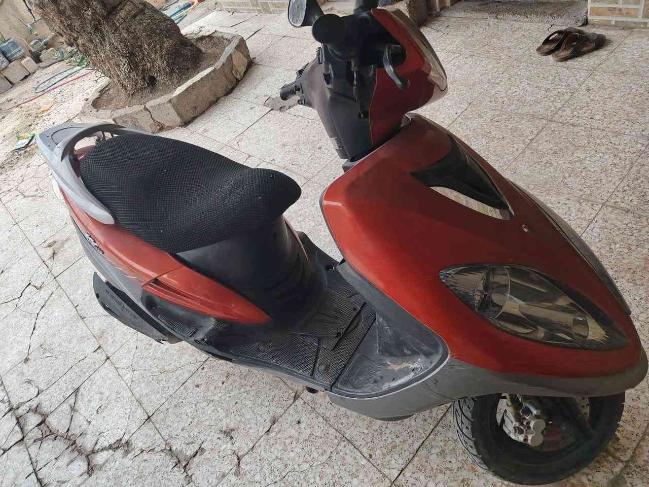 ماكس ثعلب • مرقمه • سنويه