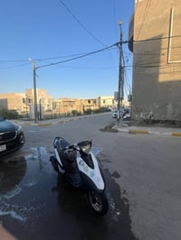 ماكس عدلة • بوشة ٥٥ • سلف