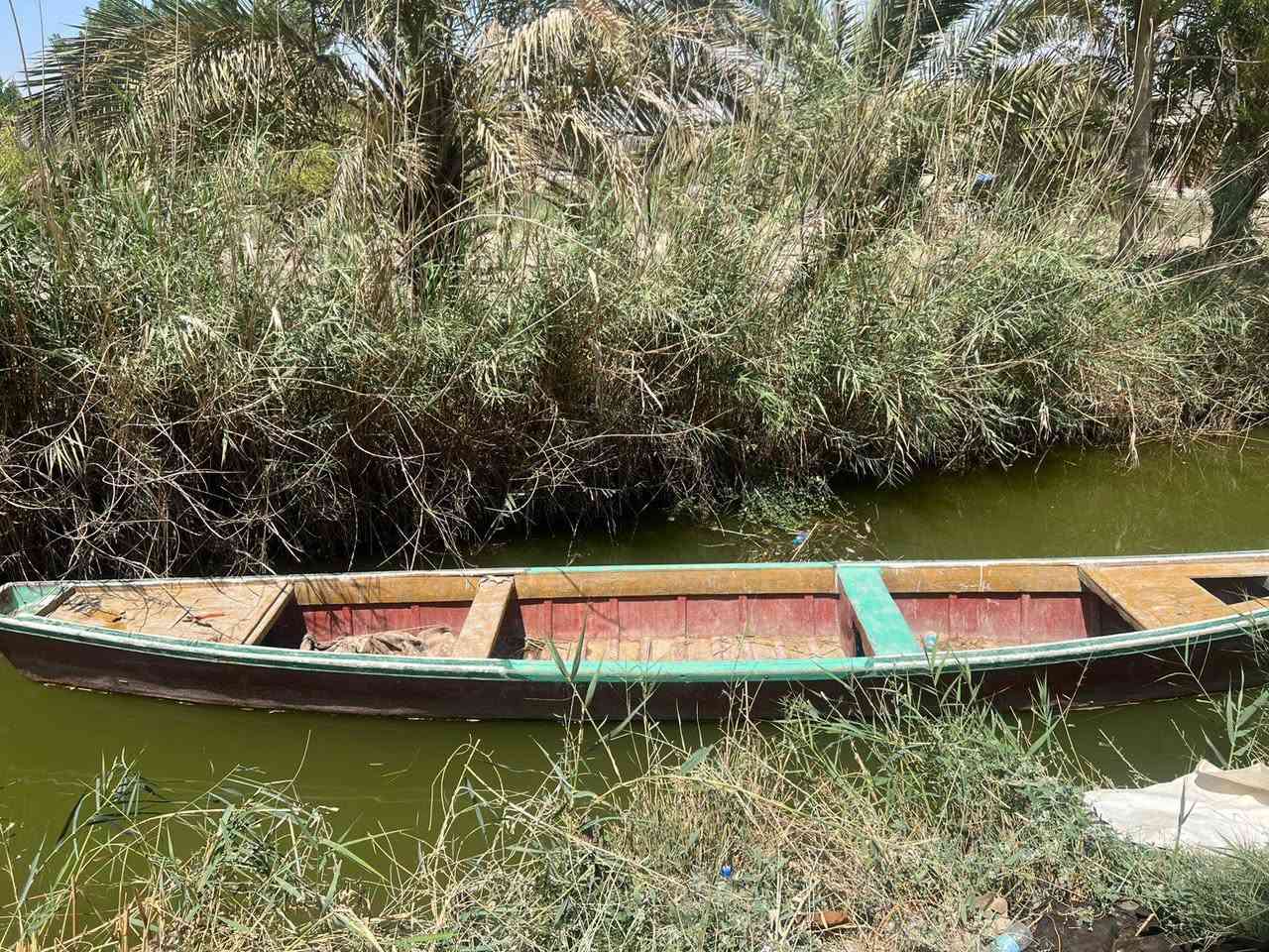 بلم للبيع الطول 14 العنوان البصره كرمه علي أنه مكلف بنشر واذ رقم راعيه ***********
