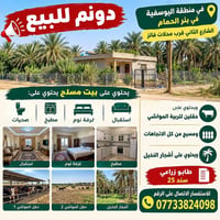 اليوسفية بئر الحمام • دونم • طابو زراعي
