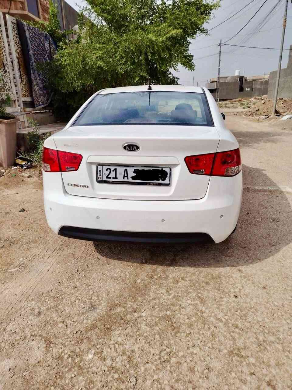 سيراتو • ٢٠١١ • كفاله عامه