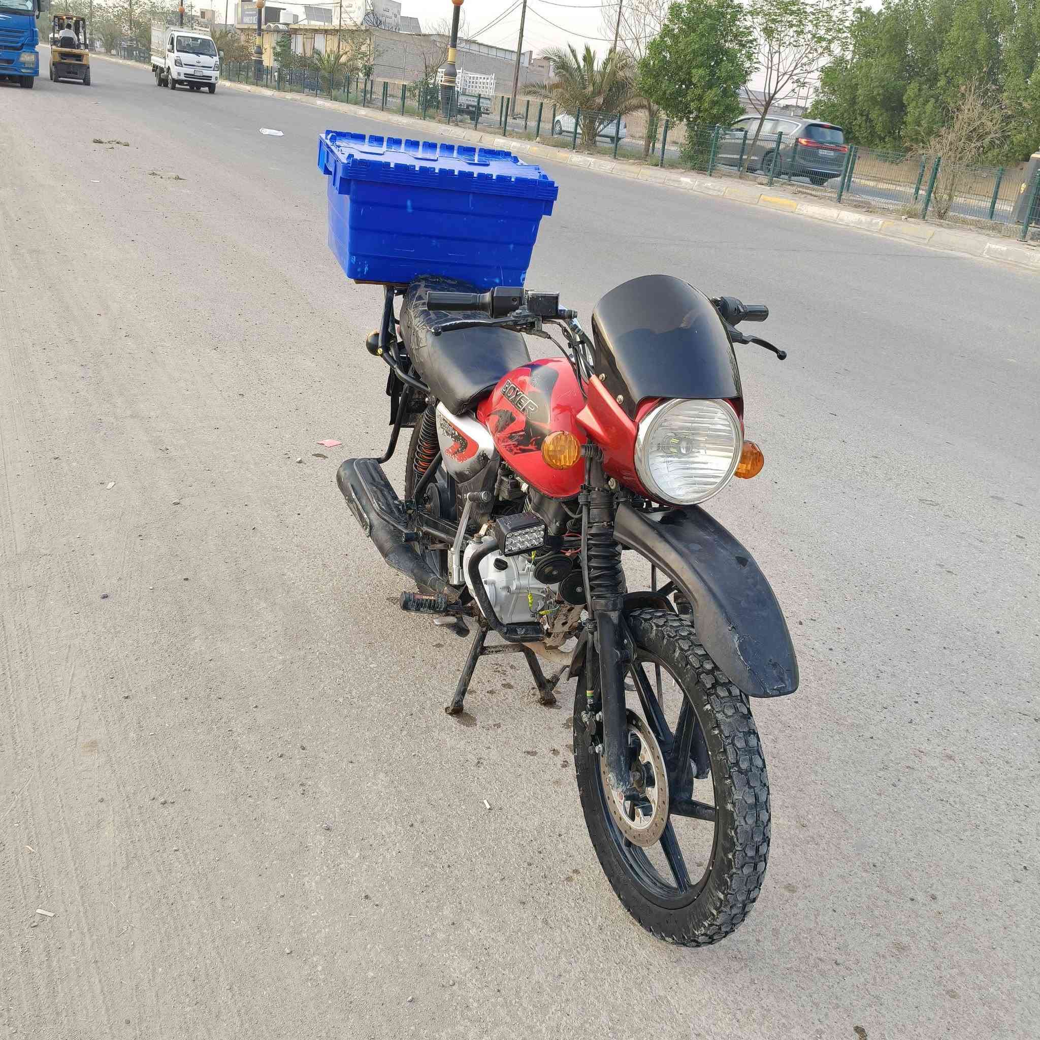 بوكسر • رقم انكليزي • تحويل ثاني يوم