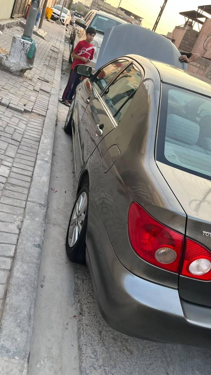 كورلا نحله • ٢٠٠٧ • وارد امريكي