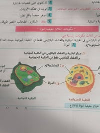طباعة ملازم • جميع المراحل • طباعة سجلات