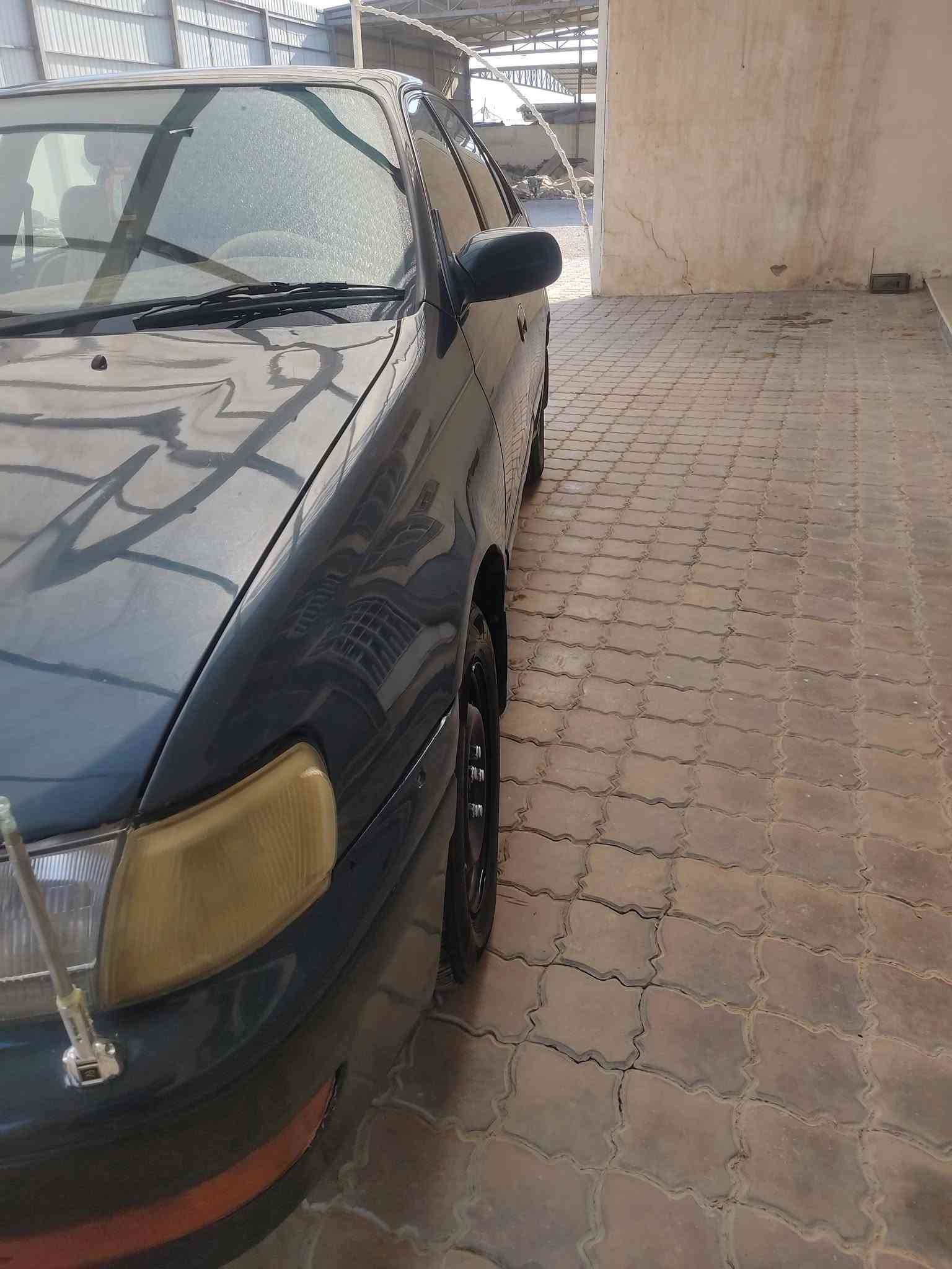 كرونا • ١٩٩٥ • الديوانية