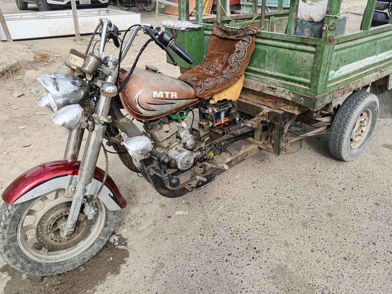 ستوته • اسود • بابل