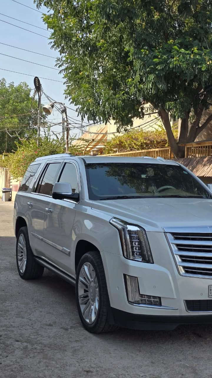 كاديلاك اسكاليد • ٢٠١٩ • نجف