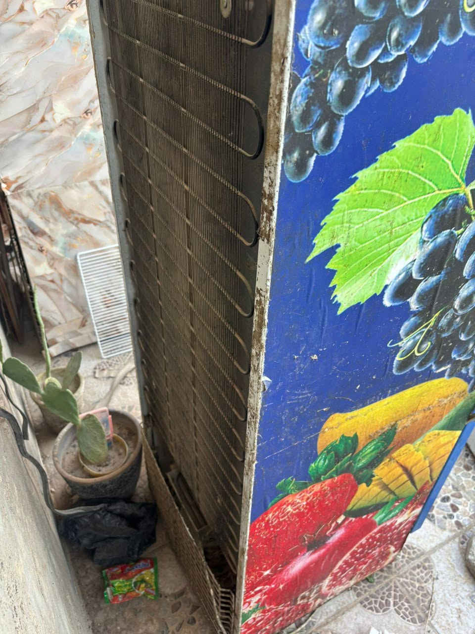 عارضات ثنين ومجمدة للبيع
العارضة الوحدة بـ ١٠٠

المجمدة ب١٢٥

كلهن ب٢٥٠

النجف - تواصل ***********
