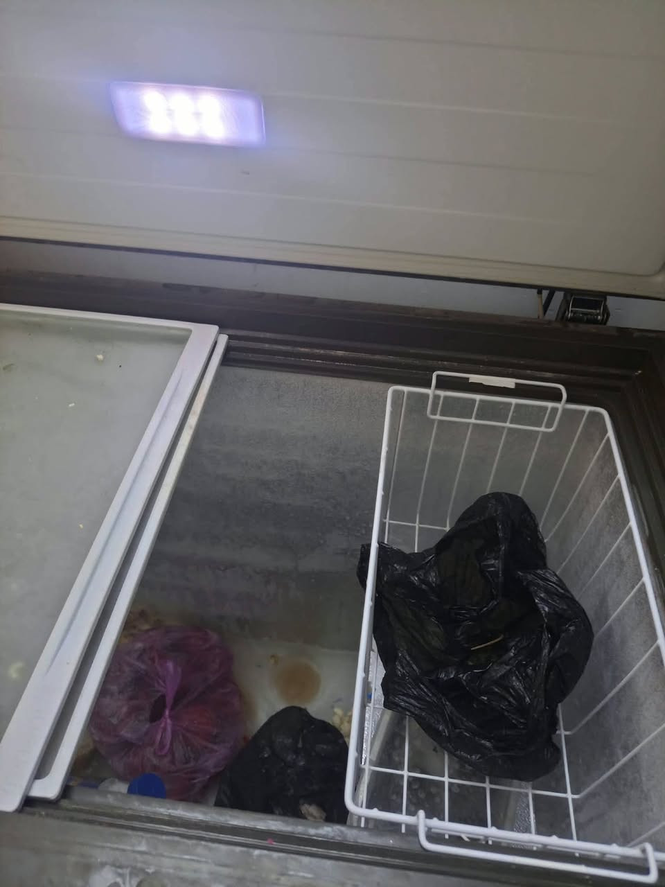 مجمدة • جديدة • الكاظمية