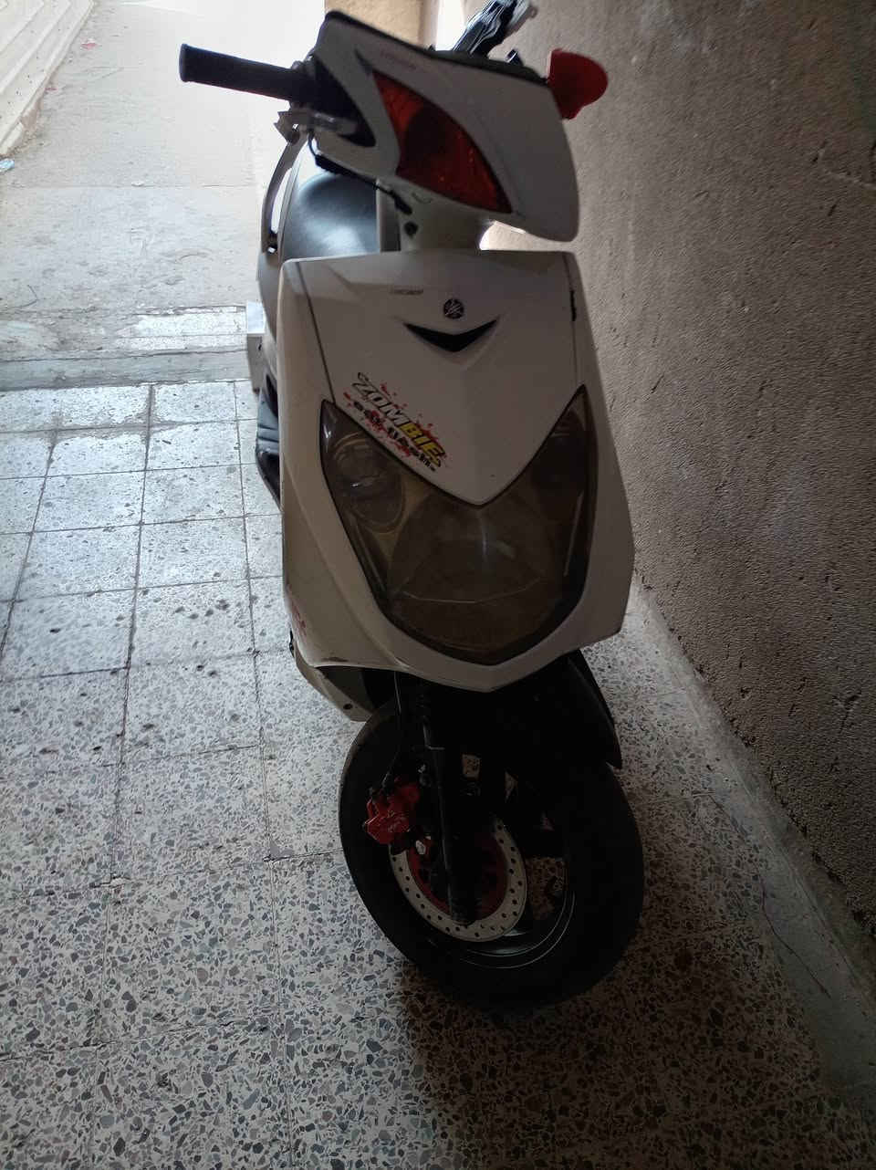 سكنس فحل • مجفت • ٢٥٠