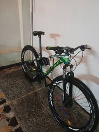 ياباني • جبلي ٢٨ • زنجيل صيني