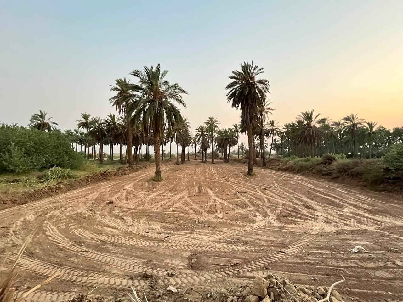 للبيع: بستان بمساحة 3,500 متر مربع (طول 140م × عرض 25م) بموقع مميز جداً على الشارع المبلط مباشرة وواجهة على شط الغراف🩵
، موقع استثماري ممتاز وتتوفر فيه كافة الخدمات، للاستفسار والتواصل يرجى الاتصال على الرقم: 

***********.
