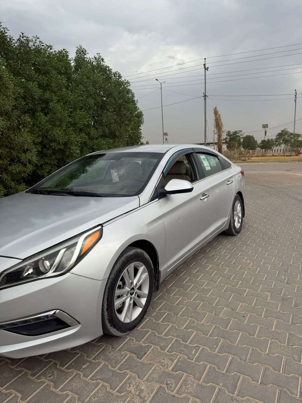 سوناته • ٢٠١٥ • شكل ١٧