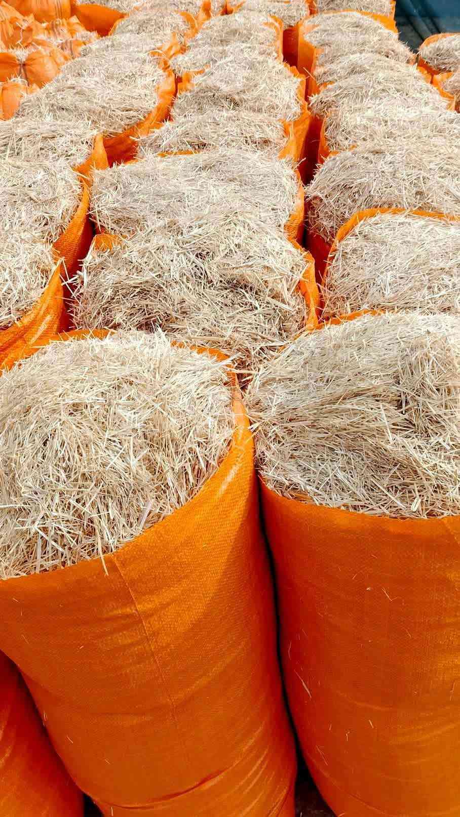 تبن ستندر • ابيض • توصيل