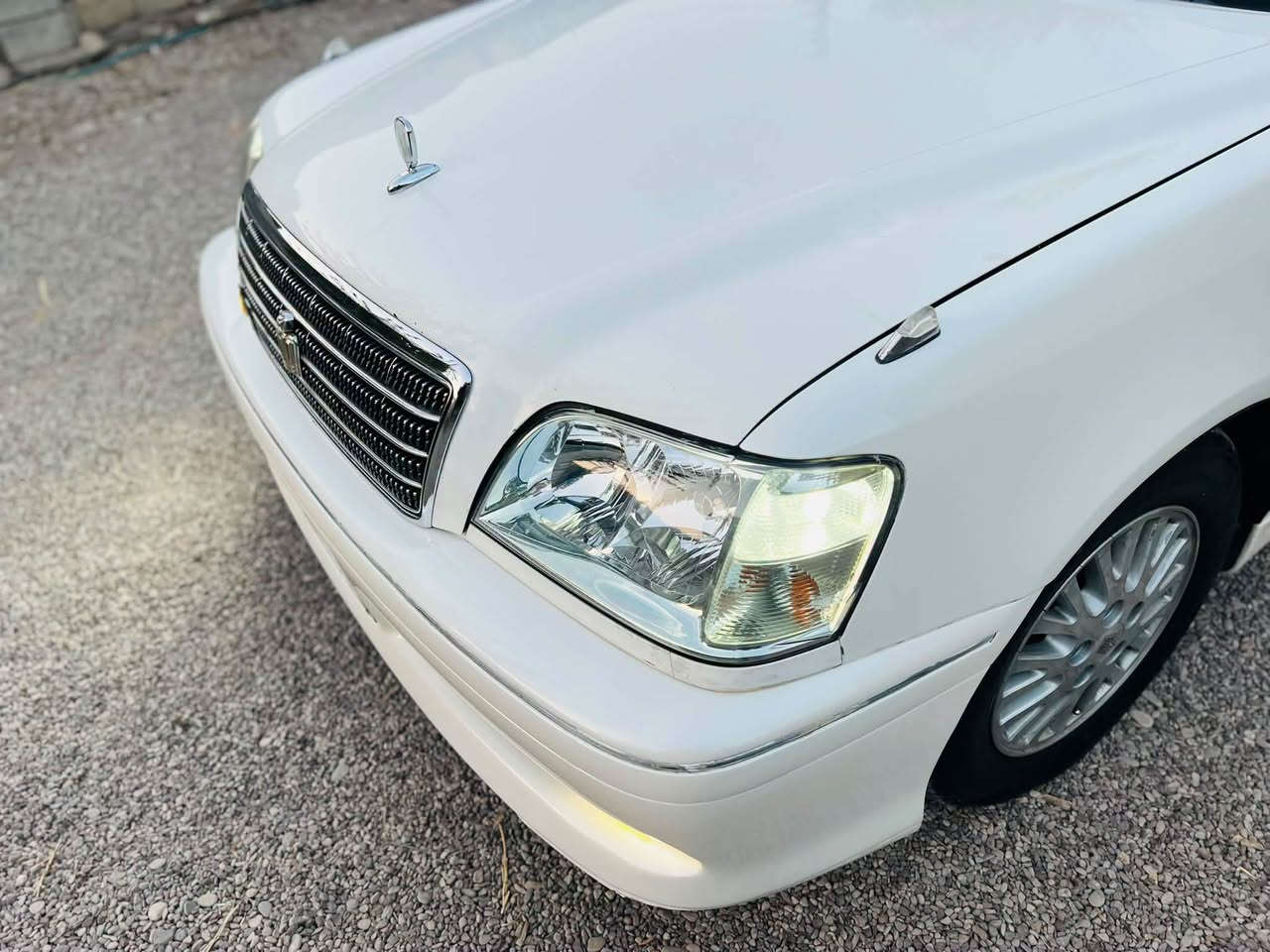 مەلیکە مووس 2003
D4بچوك
سڵایت .
چوارکوشن کارەبا
 دوو دووگمە پەردە داژبڵ نەجەف 
کۆدی نییە
كامل مەسرەف هیچ مەسروفێكی  نیە
سعری 51گەڵاو مەجال 
مشتەریت بێ سەیرکە مەعمەلە لەمووبایلا ناکری 
***********.
***********سەیسایق
