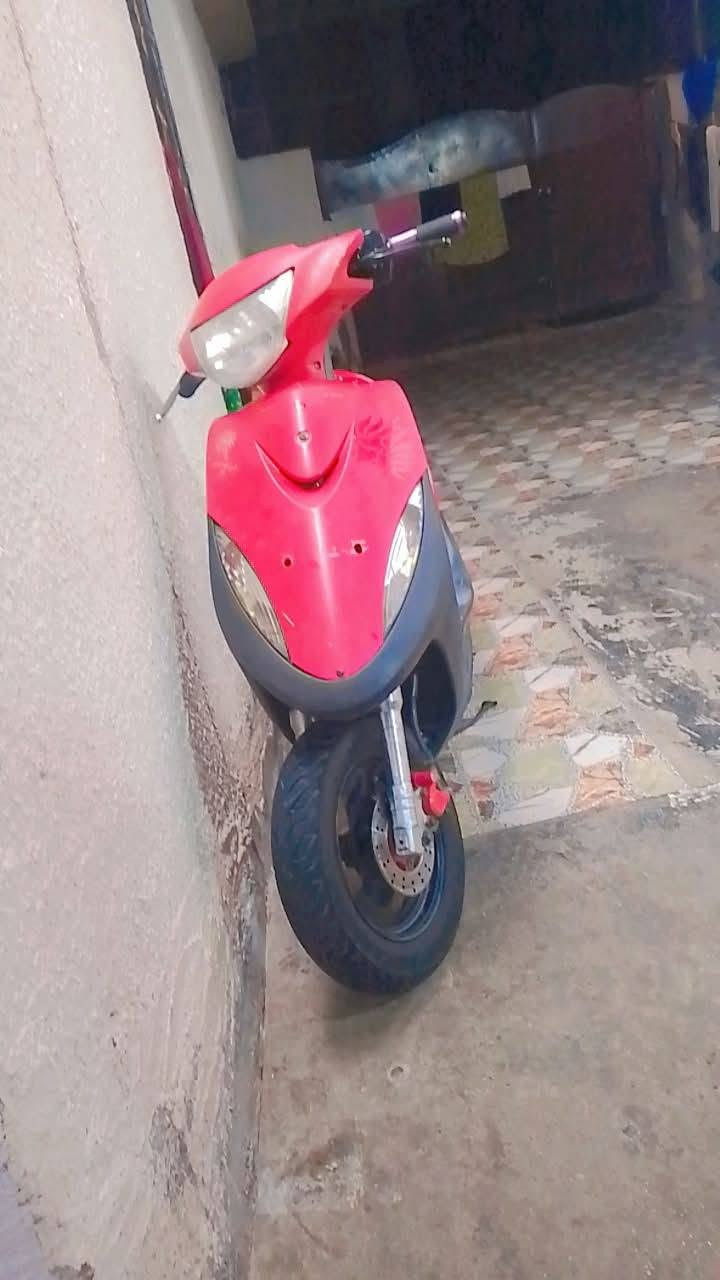 ماكس عدله • بلاديه • كامل