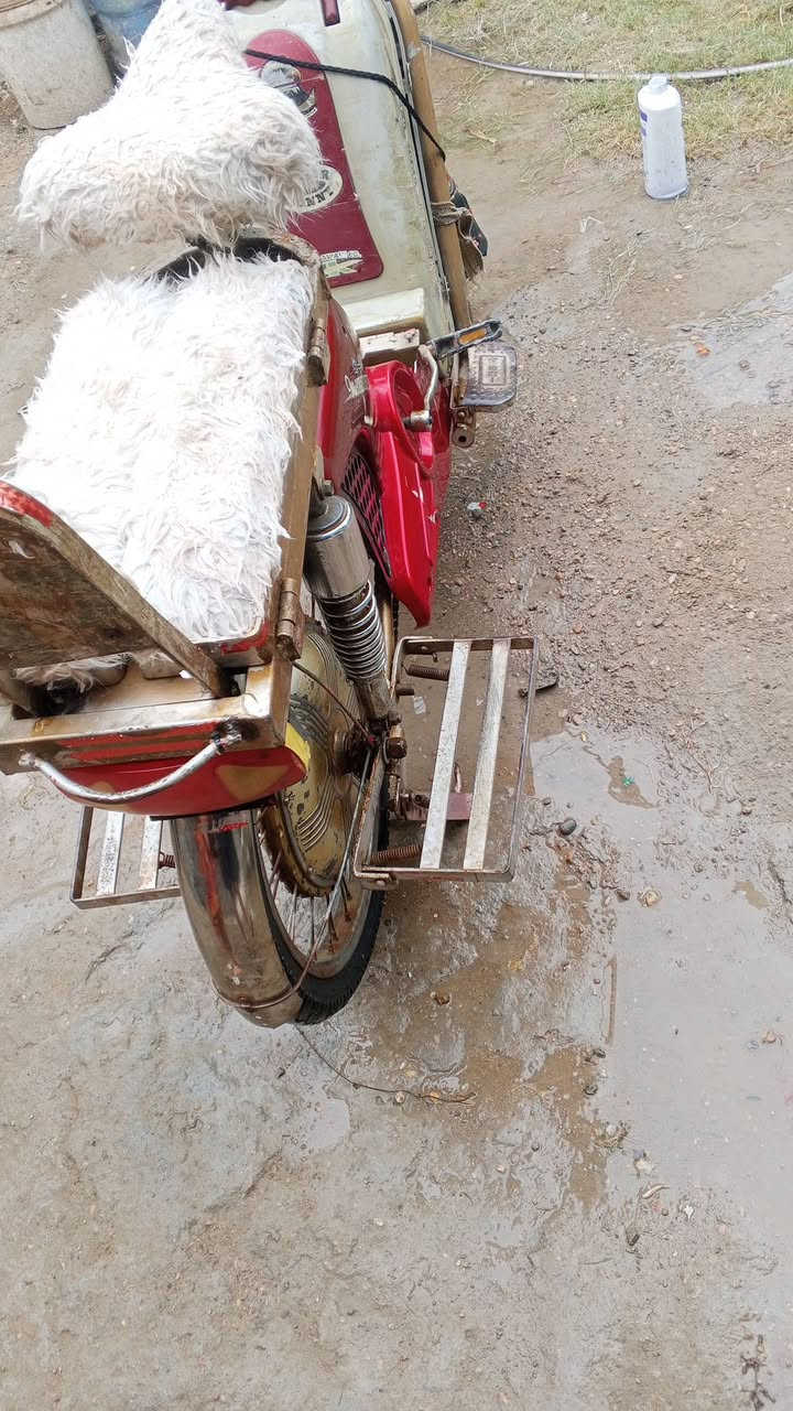 بطاريات • نص عمر • فلوجه