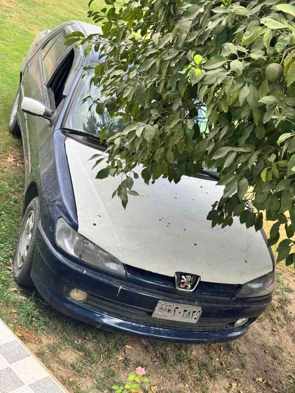 بيجو 306 • وكالة • ناحية العلم