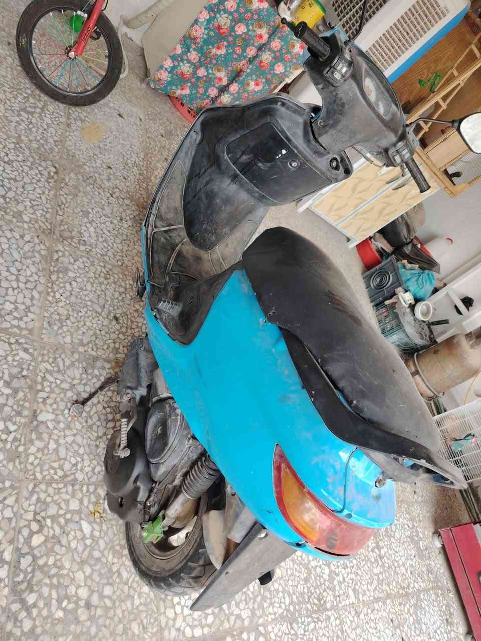 فراشة • جاهزه • ماعايزه