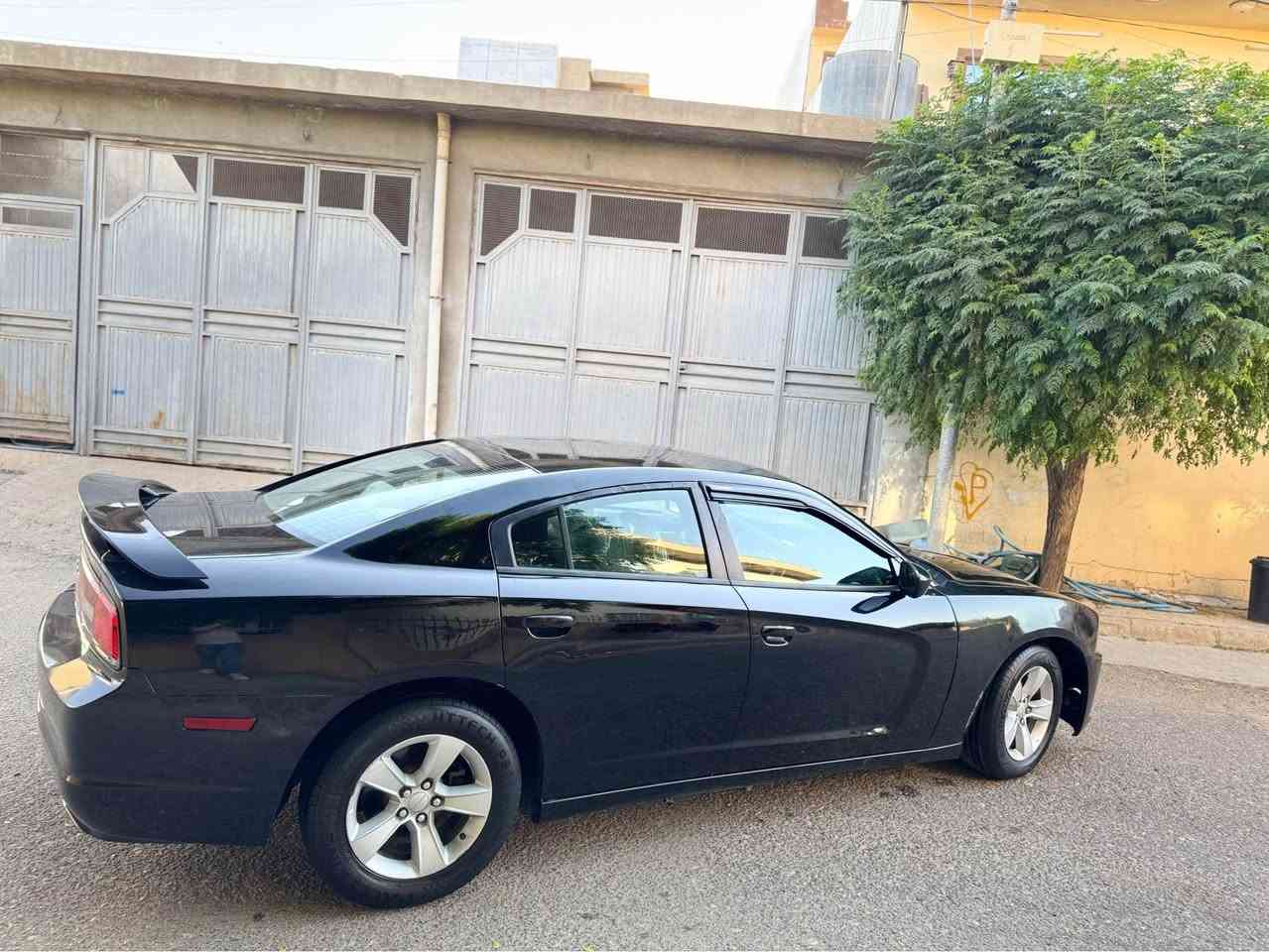 دۆج چارجەر ٢٠١٤ بڕاوە کۆدی هەیە ٥٣ گەڵا 

٦ پستۆن 

کۆدی هەیە 

گێڕ و مەکینە و کارەبای بەشەرت 

بێ چاڵ ✅
بێ شوخت ✅

تاقم پێش و دوای تازە داگیراوە چرکەی تیا نیە 🔱

٤ تایەو ویلی لۆکی لەسەرە 🛞

کوشن جلد✅
هیتەر✅
کوشن کارەبا✅

تەحەکوماتی سەر سوکان ✅

سعری خوار هەموو بازاڕ ٥٣ گەڵا 

***********
***********

ئەدمینی دڵ ❤️
