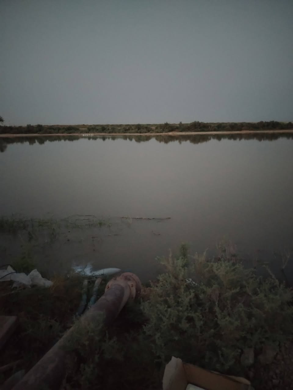 كاع ٨٠دونم عقد ١١٧ جاهزه ماي كهرباء ع شط تصلح سكن وزراعه او بحيرات العنوان قضاء كميت لاستفسار تصال ع رقم ***********او وتساب
