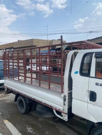محجر • للبيع • فحل