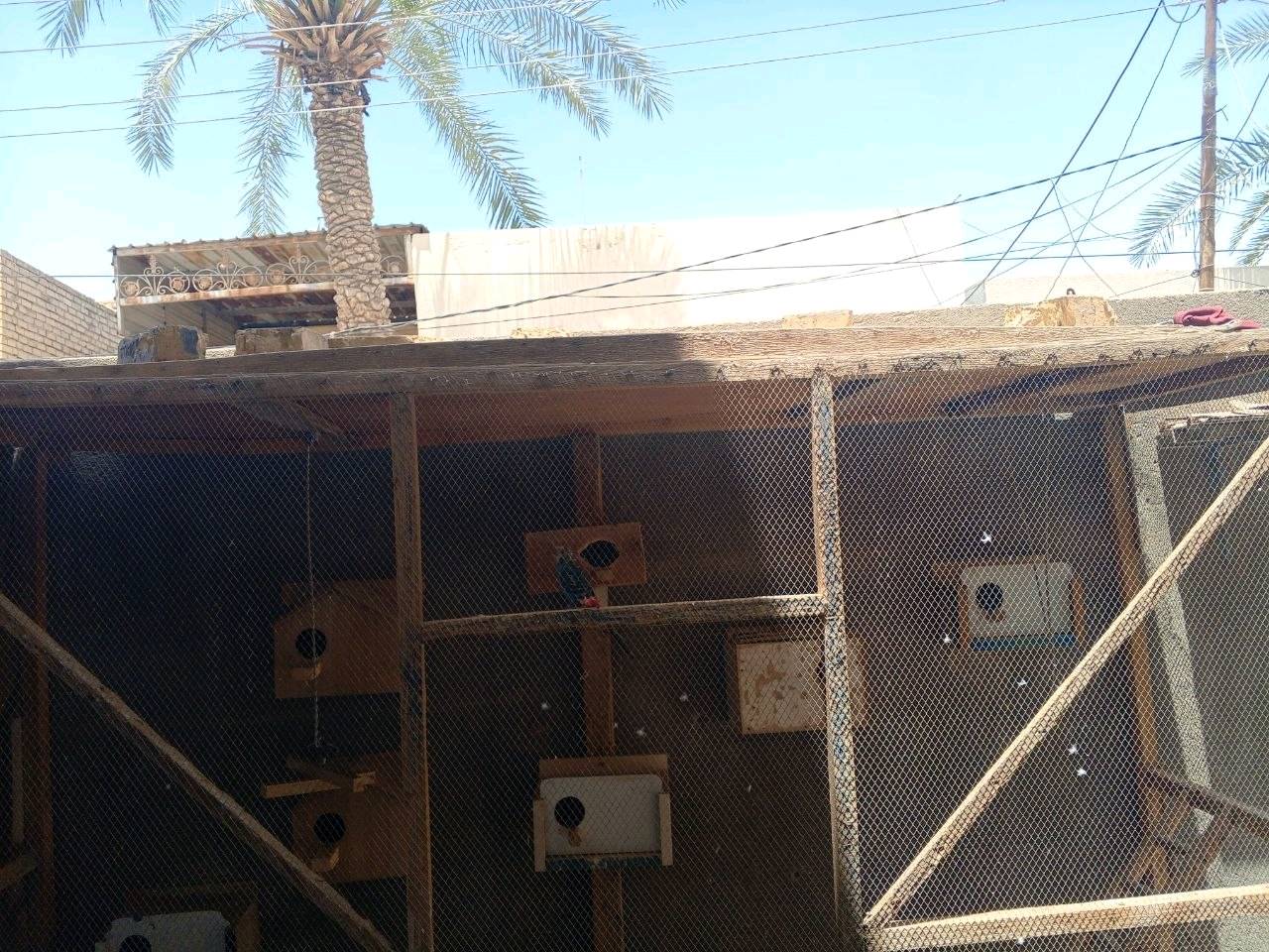 قفص كبير جدا وتصميم مميز