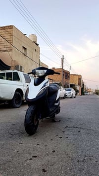 عدلة • ٥٠ • سلف