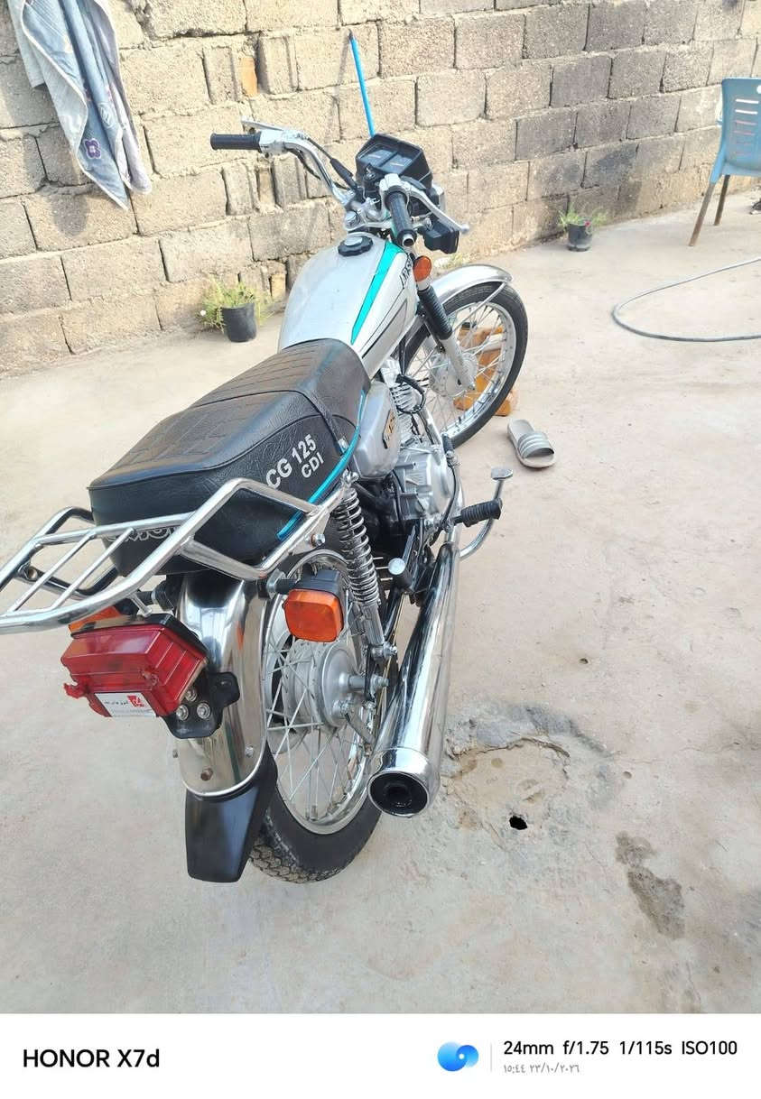 سكنر • اوراق • ٢٠٢٦