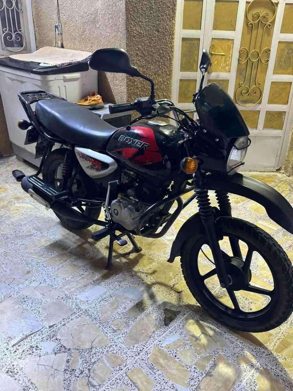 بوكسر • ٢٠٢٤ • اربيل