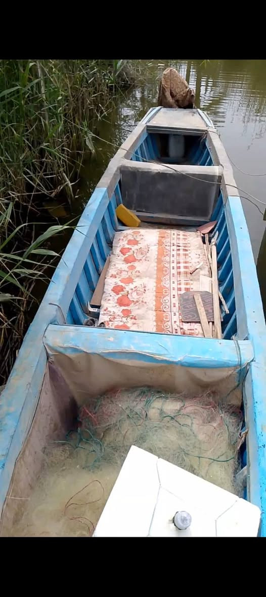 السلام عليكم ورحمه الله چينكوه فافون طول 16 ذراع بسعر مناسب ترهم مراوس وترهم بيع مراوس بزورق او بلم فايبر 16او 15او14سعرالبيع 450قفل العنوان بصره أبي الخصيب حمدان شارع الروميه رقم الهاتف *********** بيه و ساب
