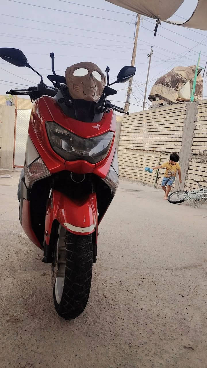 ان ماكس • ياباني • مكفوله