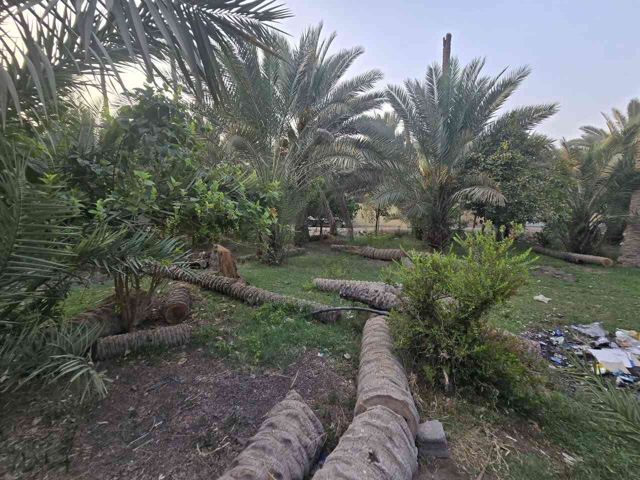 يالله أللهم صل على محمد وآل محمد) 

للبيع قطعة مساحة  1540 متر مع بيت 🏠 بناء قديم طابو زراعي 

سند 25 تحويل مباشر بأسم المشتري 

تتوفر كافة الخدمات 

موقع القطعة الحسينية شارع الابراهيمية 

تبعد عن شارع الابراهيمية 50 متر فقط 

وعن جسر 🌉 الابراهيمية 500 متر 

موقع جيد 

#السعر   200  مليون 

للاستفسار اكثر اتصلوا بالأرقام التالية 

(  ***********  )(  ***********  )

ابو فاطمة او مراجعة مكتب 🏢 النافعي للعقارات -كربلاء 
النافعي للعقار مكتب النافعي للعقارات كربلاء 
بساتين كربلاء عنوان المكتب شارع الحسينية قرب جسر 🌉 الابراهيمية مقابل شارع عون عل سايد الخدمي 

(*********** )( *********** )
