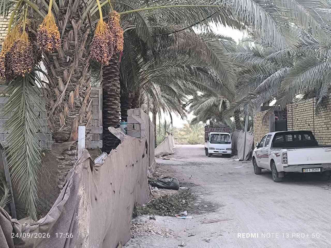 السلام عليكم قطعة أرض زراعي بستان 25 المساحه 300متر الواجهه 12ونزال 26 خلف حي عدنان شارع البو عبدالله نزلة سيد شاكر مقابيل الاستاذ علاء ضيدان تبعد عن شارع البو عبدالله 130متر تقريبا
للاستفسار مكتب اسوار المدحتية للعقارات مقابل السايلو حي الحور 
*********** أبو محمد
عمادابو نور***********

نص مكتوب في الصور:
- 24/09/2026 17:54 REDMI NOTE 13 PRO+ 5G
- 24/09/2026 17:58 REDMI NOTE 13 PRO+ 5G
- 24/09/2026 17:52 REDMI NOTE 13 PRO+ 5G
- 24/09/2026 17:53 REDMI NOTE 13 PRO+ 5G
- 24/09/2026 17:56
- REDMI NOTE 13 PRO+ 5G