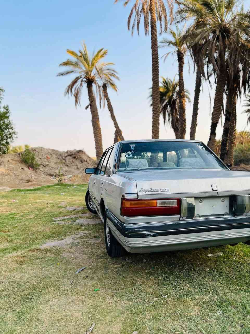 للبيع سوبر موديل 85
رقم بغداد 
راعيه بناصريه
سعر 35
***********
